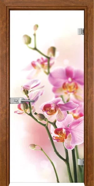 Стъклена Врата Gama Print G 13-2 Златен Дъб