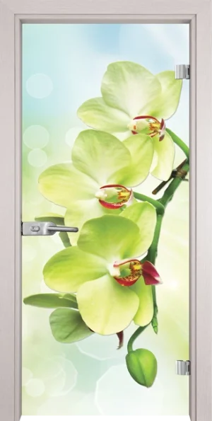 Стъклена Врата Gama Print G 13-3 Green Перла