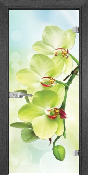 Стъклена Врата Gama Print G 13-3 Green Сив Кестен