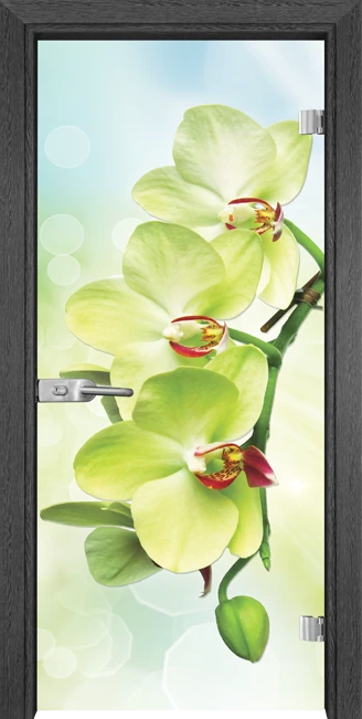 Стъклена Врата Gama Print G 13-3 Green Сив Кестен