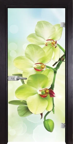Стъклена Врата Gama Print G 13-3 Green Венге