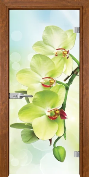 Стъклена Врата Gama Print G 13-3 Green Златен Дъб