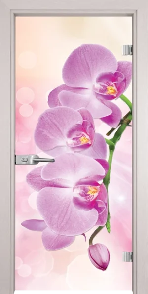 Стъклена Врата Gama Print G 13-3 Pink Перла