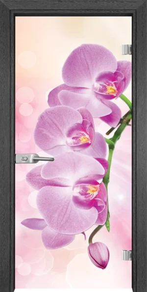 Стъклена Врата Gama Print G 13-3 Pink Сив Кестен