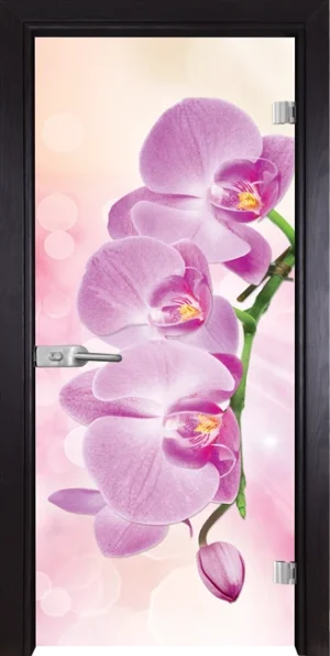Стъклена Врата Gama Print G 13-3 Pink Венге
