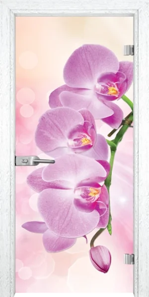 Стъклена Врата Gama Print G 13-3 Pink Бреза