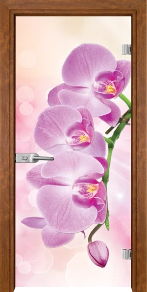 Стъклена Врата Gama Print G 13-3 Pink Златен Дъб