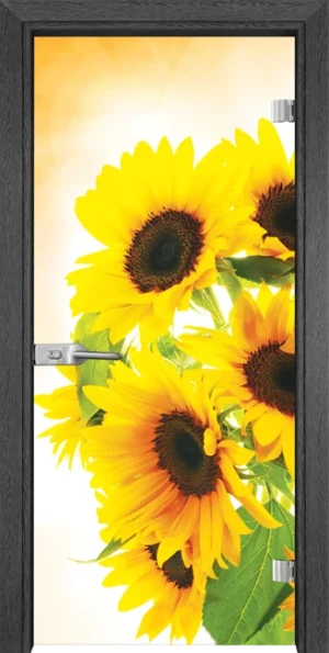 Стъклена Врата Gama Print G 13-4 Сив Кестен