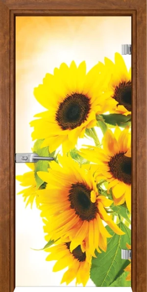 Стъклена Врата Gama Print G 13-4 Златен Дъб