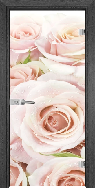 Стъклена Врата Gama Print G 13-7 Сив Кестен