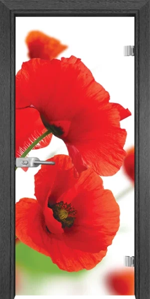 Стъклена Врата Gama Print G 13-8 Сив Кестен